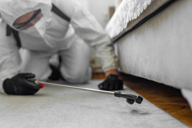 Professional Termite Control technician working in Kingsbury County County, SD